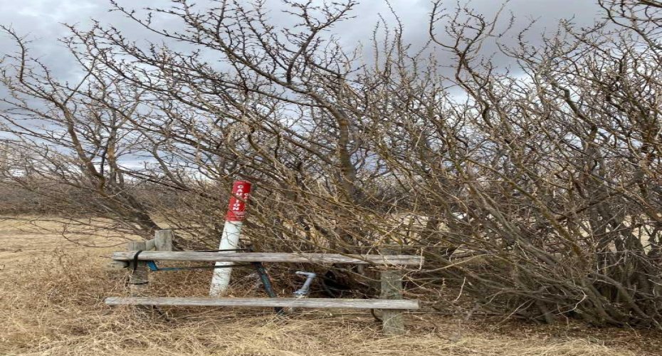 14043 TWP RD 393, Rural Provost No. 52, M.D. of, Alberta T0B1X0, ,Land,For Sale,TWP RD 393,A2041620