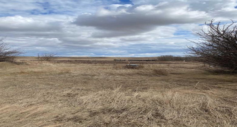 14043 TWP RD 393, Rural Provost No. 52, M.D. of, Alberta T0B1X0, ,Land,For Sale,TWP RD 393,A2041620