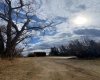 14043 TWP RD 393, Rural Provost No. 52, M.D. of, Alberta T0B1X0, ,Land,For Sale,TWP RD 393,A2041620