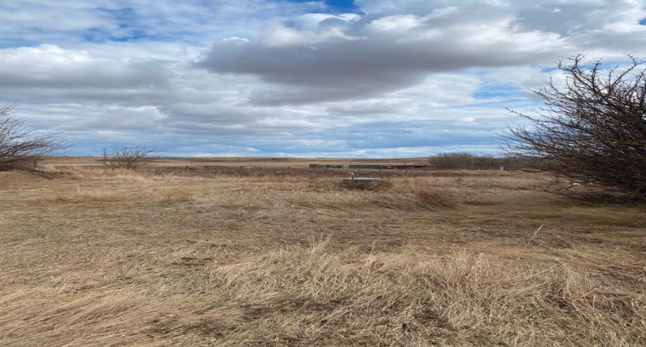 14043 TWP RD 393, Rural Provost No. 52, M.D. of, Alberta T0B1X0, ,Land,For Sale,TWP RD 393,A2041620