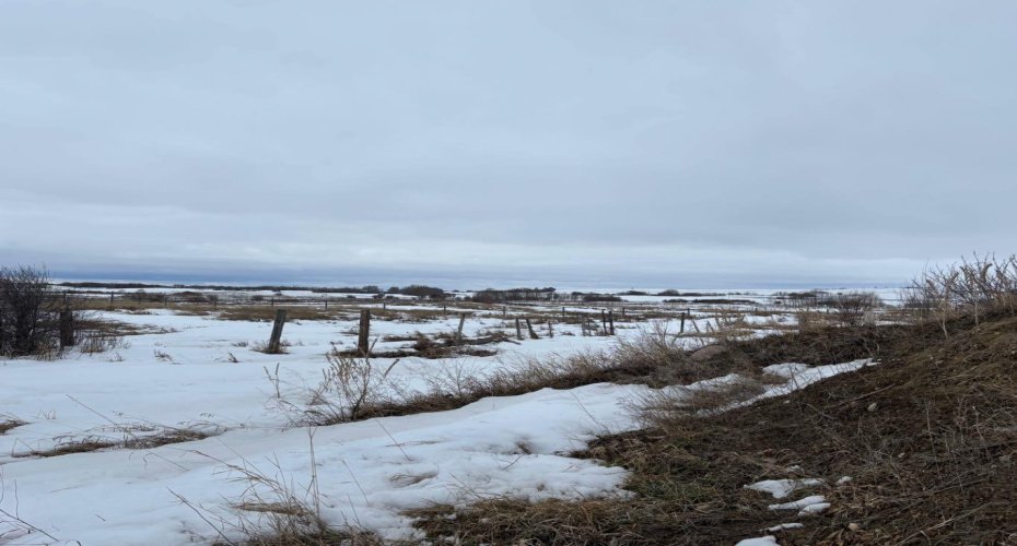 14043 TWP RD 393, Rural Provost No. 52, M.D. of, Alberta T0B1X0, ,Land,For Sale,TWP RD 393,A2041620