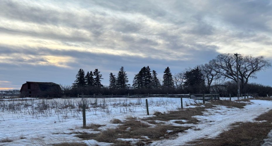 14043 TWP RD 393, Rural Provost No. 52, M.D. of, Alberta T0B1X0, ,Land,For Sale,TWP RD 393,A2041620