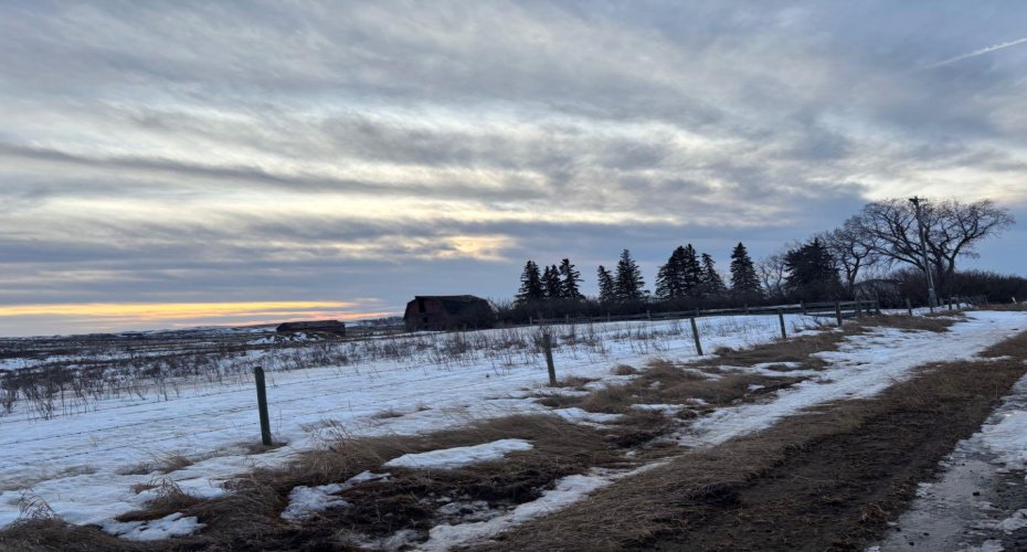 14043 TWP RD 393, Rural Provost No. 52, M.D. of, Alberta T0B1X0, ,Land,For Sale,TWP RD 393,A2041620