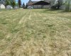 49 Street, Rocky Mountain House, Alberta T4T 1A3, 0 , 0 ,0,Land,For Sale,Street,0,A2034654