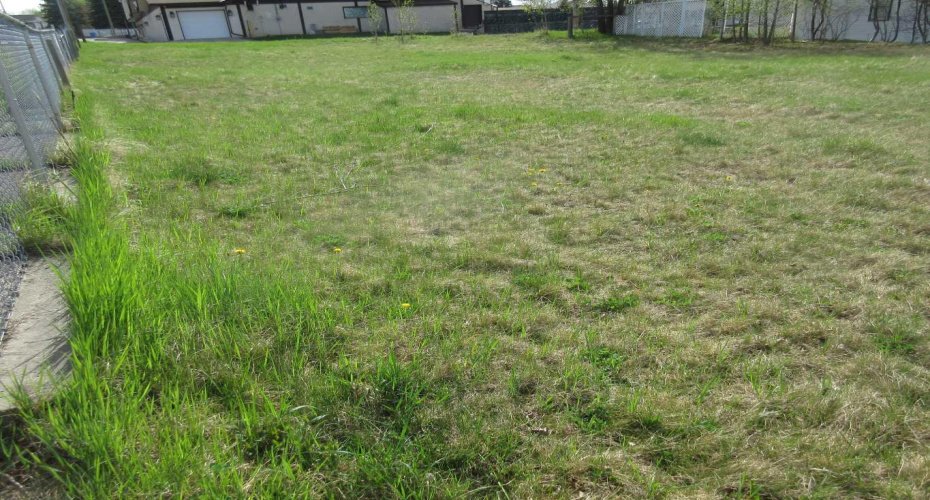 47 Street, Rocky Mountain House, Alberta T4T 1A3, ,Land,For Sale,Street,A2034654