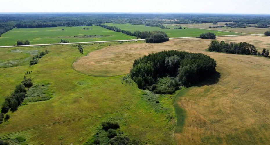 SW-15-71-5-W6, Rural Grande Prairie No. 1, County of, Alberta T8X 4A2, ,Land,For Sale,SW-15-71-5-W6,A2123374