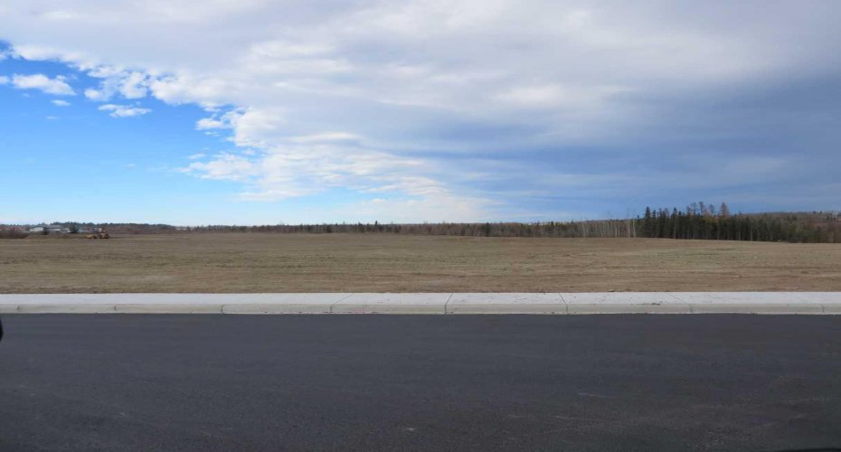 4208 52A Avenue, Rocky Mountain House, Alberta T4T 1B4, ,Land,For Sale,52A,A2126991