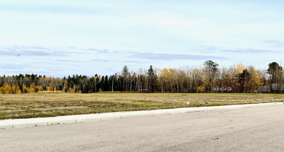 4208 52A Avenue, Rocky Mountain House, Alberta T4T 1B4, ,Land,For Sale,52A,A2126991