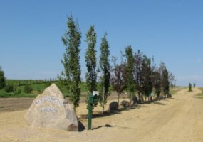 420054 Range Road 283, Rimbey, Alberta T0C 2J0, ,Land,For Sale,Range Road 283,A1228400