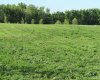 420054 Range Road 283, Rimbey, Alberta T0C 2J0, ,Land,For Sale,Range Road 283,A1228400
