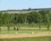 420054 Range Road 283, Rimbey, Alberta T0C 2J0, ,Land,For Sale,Range Road 283,A1228400