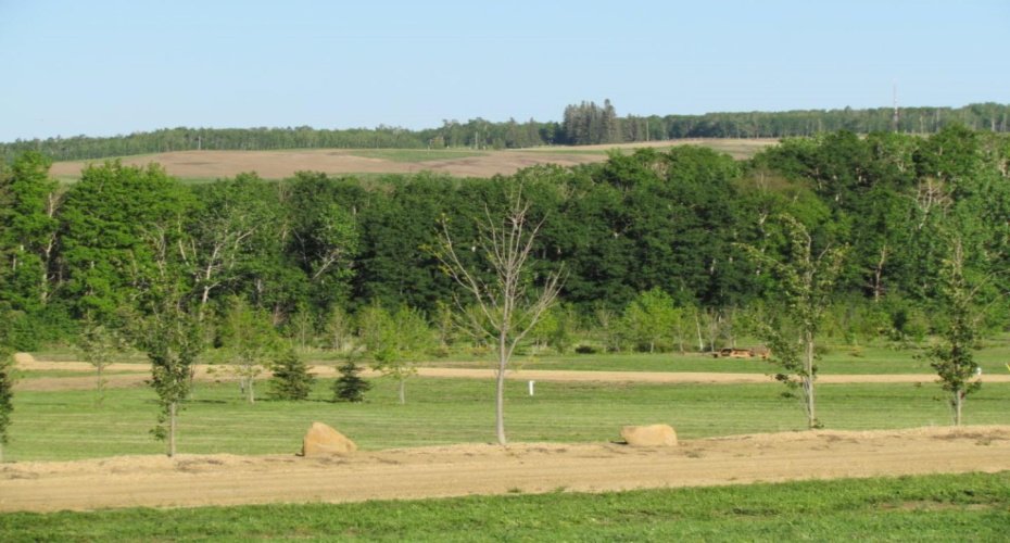 420054 Range Road 283, Rimbey, Alberta T0C 2J0, ,Land,For Sale,Range Road 283,A1228400