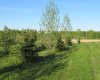 420054 Range Road 283, Rimbey, Alberta T0C 2J0, ,Land,For Sale,Range Road 283,A1228400