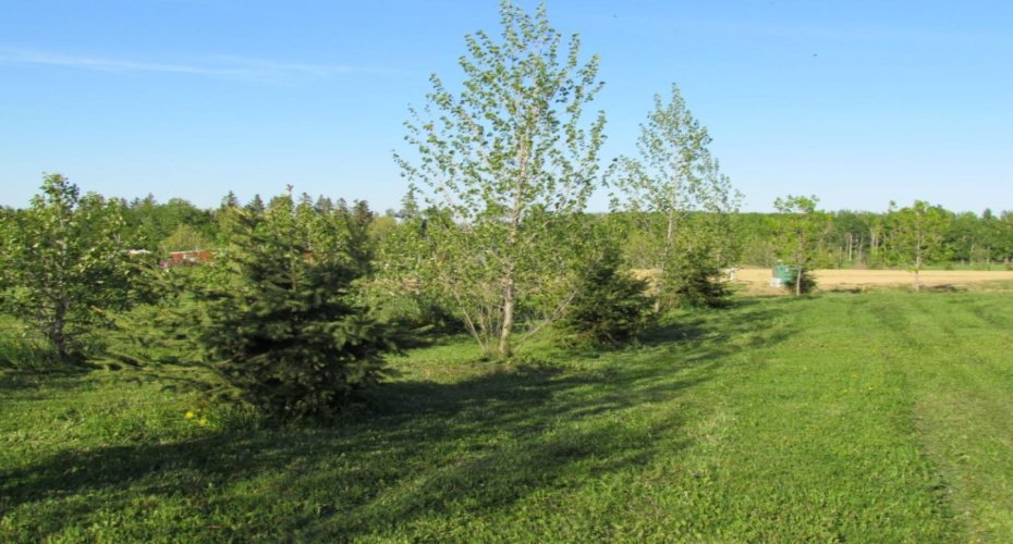 420054 Range Road 283, Rimbey, Alberta T0C 2J0, ,Land,For Sale,Range Road 283,A1228400