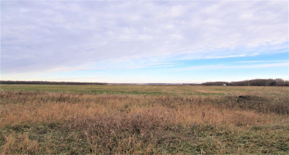 108 Alberta Street, Kingman, Alberta T0B 2M0, ,Land,For Sale,Alberta,A1156341
