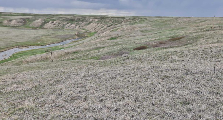 4;23;14;6; SW, Carmangay, Alberta T0L 0N0, ,Land,For Sale,SW,A2129873