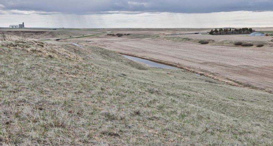 4;23;14;6; SW, Carmangay, Alberta T0L 0N0, ,Land,For Sale,SW,A2129873