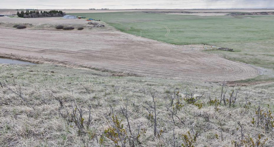 4;23;14;6; SW, Carmangay, Alberta T0L 0N0, ,Land,For Sale,SW,A2129873