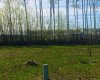 41 Chonkolay Drive, High Level, Alberta T0H 1Z0, ,Land,For Sale,Chonkolay,A1229218