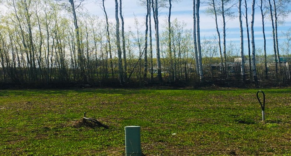 41 Chonkolay Drive, High Level, Alberta T0H 1Z0, ,Land,For Sale,Chonkolay,A1229218