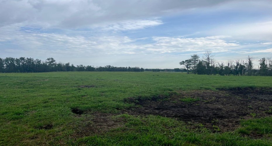 70 Acres SE of Innisfial, Rural Red Deer County, Alberta T4S 0M6, ,Agri-business,For Sale,70 Acres SE of Innisfial,A2060975