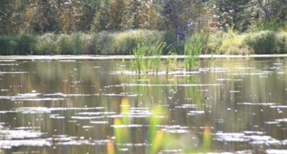 9660 88 Street, High Level, Alberta T0H 1Z0, ,Land,For Sale,88,A1157627