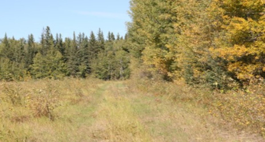 9660 88 Street, High Level, Alberta T0H 1Z0, ,Land,For Sale,88,A1157627