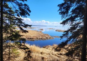 RL 22 Old Trail, Lac La Biche, Alberta T0A 2C2, ,Land,For Sale,Old Trail,A2134287