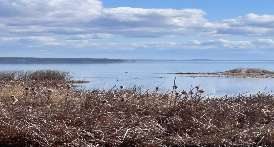 RL 22 Old Trail, Lac La Biche, Alberta T0A 2C2, ,Land,For Sale,Old Trail,A2134287