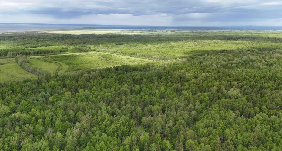 5;11;73;2;SE Range Rd 112, Faust, Alberta T0G 0X0, ,Land,For Sale,Range Rd 112,A2134055