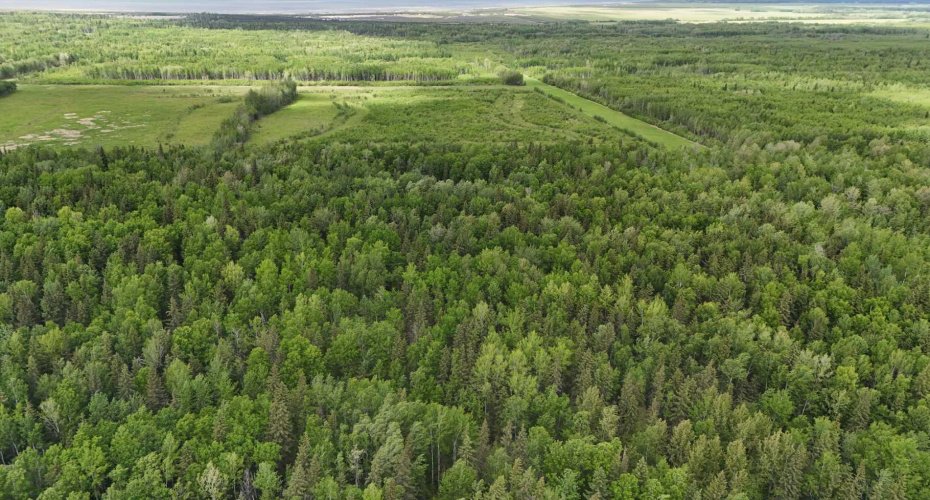 5;11;73;2;SE Range Rd 112, Faust, Alberta T0G 0X0, ,Land,For Sale,Range Rd 112,A2134055