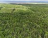 5;11;73;2;SE Range Rd 112, Faust, Alberta T0G 0X0, ,Land,For Sale,Range Rd 112,A2134055