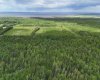 5;11;73;2;SE Range Rd 112, Faust, Alberta T0G 0X0, ,Land,For Sale,Range Rd 112,A2134055
