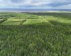 5;11;73;2;SE Range Rd 112, Faust, Alberta T0G 0X0, ,Land,For Sale,Range Rd 112,A2134055