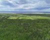 5;11;73;2;SE Range Rd 112, Faust, Alberta T0G 0X0, ,Land,For Sale,Range Rd 112,A2134055