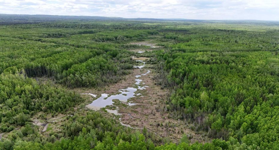 5;11;73;2;SE Range Rd 112, Faust, Alberta T0G 0X0, ,Land,For Sale,Range Rd 112,A2134055