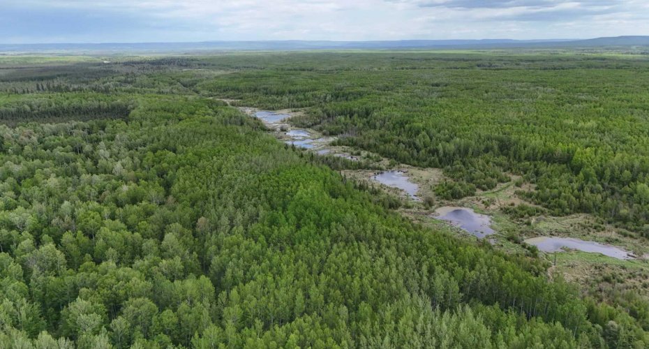 5;11;73;2;SE Range Rd 112, Faust, Alberta T0G 0X0, ,Land,For Sale,Range Rd 112,A2134055