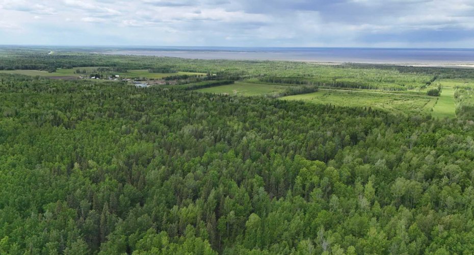 5;11;73;2;SE Range Rd 112, Faust, Alberta T0G 0X0, ,Land,For Sale,Range Rd 112,A2134055