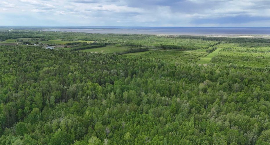 5;11;73;2;SE Range Rd 112, Faust, Alberta T0G 0X0, ,Land,For Sale,Range Rd 112,A2134055