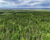 5;11;73;2;SE Range Rd 112, Faust, Alberta T0G 0X0, ,Land,For Sale,Range Rd 112,A2134055