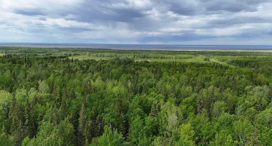 5;11;73;2;SE Range Rd 112, Faust, Alberta T0G 0X0, ,Land,For Sale,Range Rd 112,A2134055