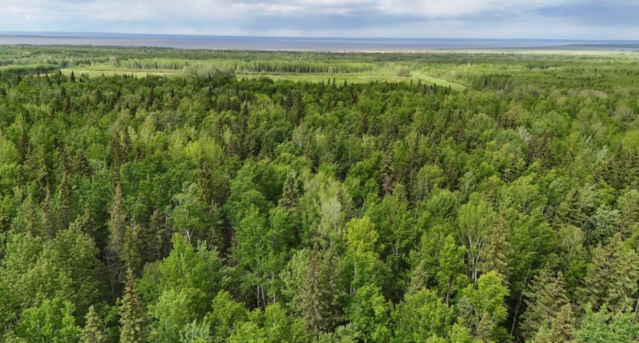 5;11;73;2;SE Range Rd 112, Faust, Alberta T0G 0X0, ,Land,For Sale,Range Rd 112,A2134055