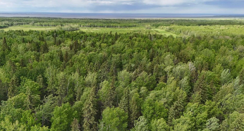 5;11;73;2;SE Range Rd 112, Faust, Alberta T0G 0X0, ,Land,For Sale,Range Rd 112,A2134055