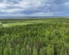 5;11;73;2;SE Range Rd 112, Faust, Alberta T0G 0X0, ,Land,For Sale,Range Rd 112,A2134055