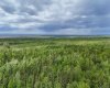 5;11;73;2;SE Range Rd 112, Faust, Alberta T0G 0X0, ,Land,For Sale,Range Rd 112,A2134055
