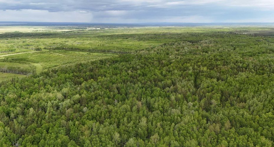 5;11;73;2;SE Range Rd 112, Faust, Alberta T0G 0X0, ,Land,For Sale,Range Rd 112,A2134055