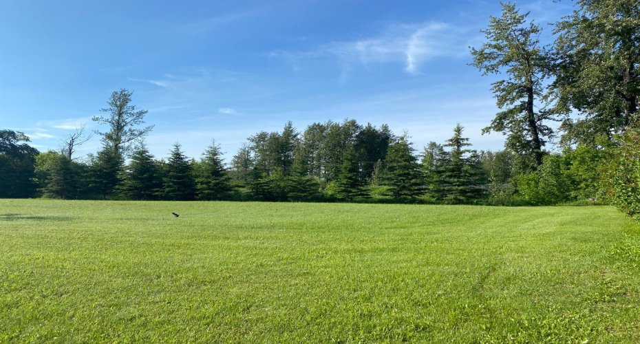 201 3A Street, Slave Lake, Alberta T0G 2A2, ,Land,For Sale,3A,A2075151