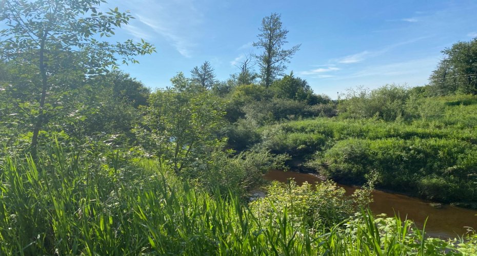 201 3A Street, Slave Lake, Alberta T0G 2A2, ,Land,For Sale,3A,A2075151