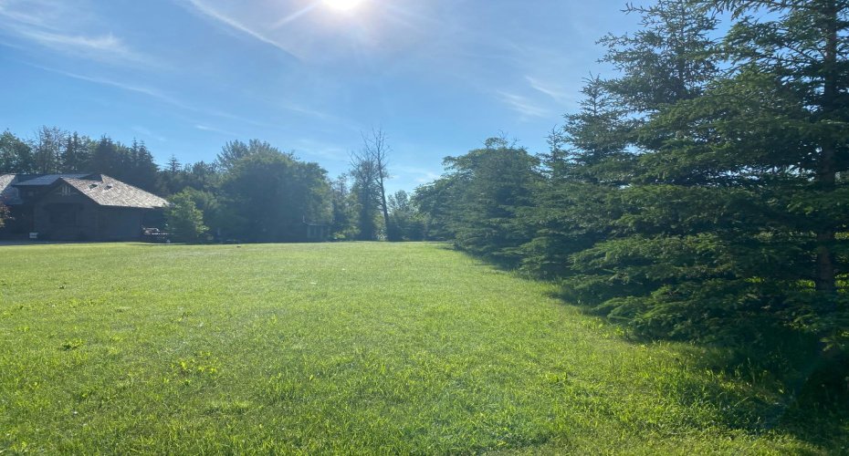 201 3A Street, Slave Lake, Alberta T0G 2A2, ,Land,For Sale,3A,A2075151