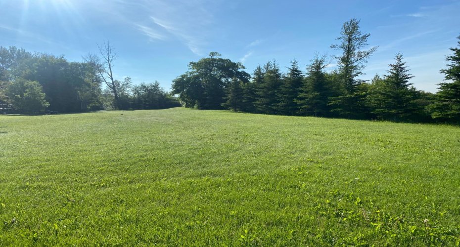 201 3A Street, Slave Lake, Alberta T0G 2A2, ,Land,For Sale,3A,A2075151